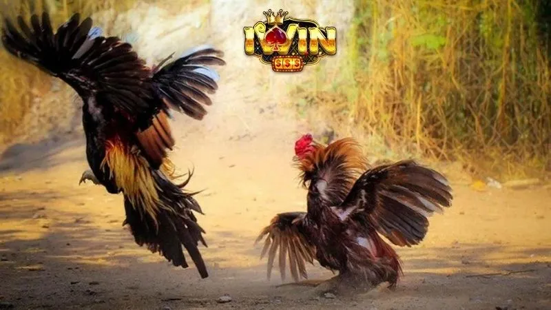 Giao Diện Thân Thiện Và Dễ Sử Dụng